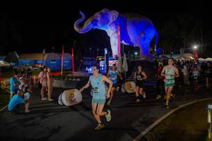 BIB: 
                            <button type="button" onclick="openModal(26552283)" class="btn btn-primary btn-sm float-right btn-popup" data-toggle="modal" data-target=".modal-high-quality">
                        <i class="fas fa-shopping-cart"></i> Add to Cart
                    </button>
                                            <button type="button" onclick="isThisMe(26552283, true)" class="btn btn-success btn-sm float-right btn-popup btn-isme hidden" data-toggle="tooltip" data-placement="bottom" title="นี่คือรูปของคุณใช่ไหม คลิกที่นี่เพื่อเอาเข้าอัลบั้ม">
                        <i class="fas fa-plus"></i> Add to album
                    </button>
                    <button type="button" onclick="isThisMe(26552283, false)" class="btn btn-warning btn-sm float-right btn-popup btn-isnotme hidden">
                        <i class="fas fa-ban"></i> Remove from album
                    </button>